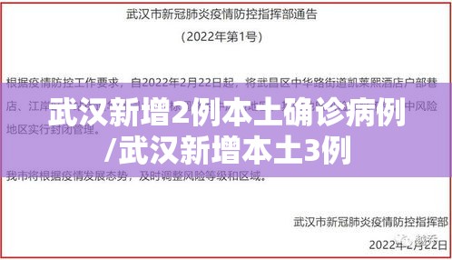 武汉新增2例本土确诊病例/武汉新增本土3例