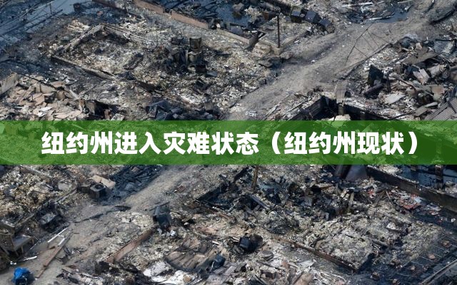 纽约州进入灾难状态（纽约州现状）