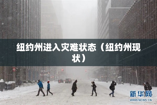纽约州进入灾难状态（纽约州现状）