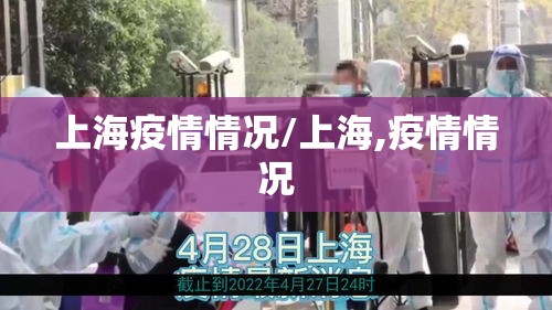 上海疫情情况/上海,疫情情况