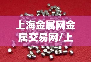 上海金属网金属交易网/上海金属网金属交易网官方网站