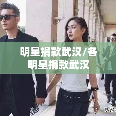 明星捐款武汉/各明星捐款武汉