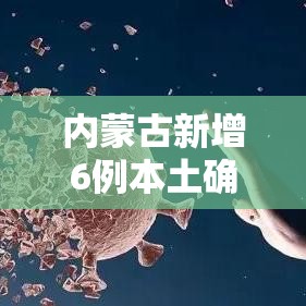 内蒙古新增6例本土确诊病例:内蒙古新增6例本土确诊病例详情