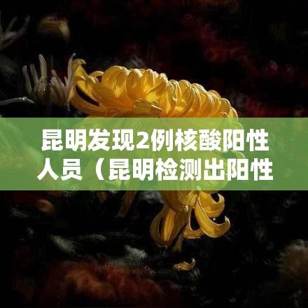 昆明发现2例核酸阳性人员(昆明检测出阳性) 昆明发现2例核酸阳性人员(昆明检测出阳性)
