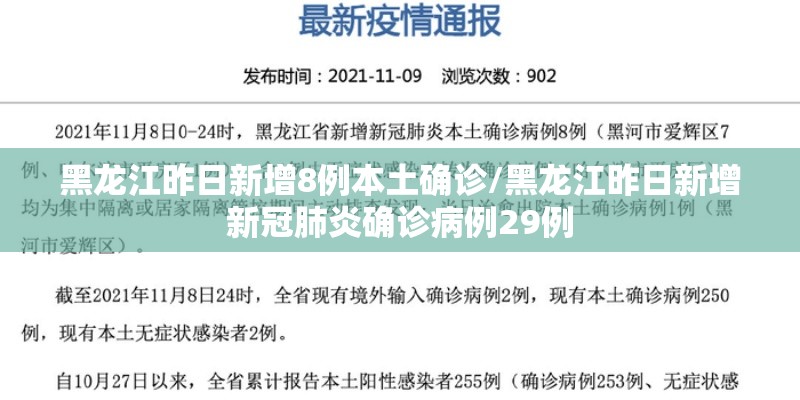黑龙江昨日新增8例本土确诊/黑龙江昨日新增新冠肺炎确诊病例29例