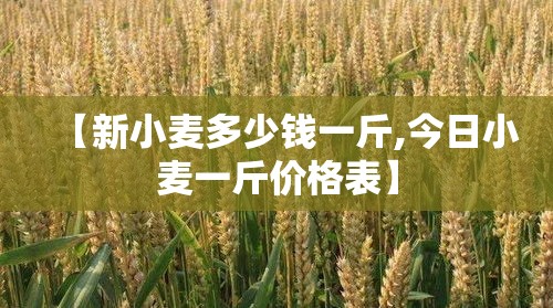 【新小麦多少钱一斤,今日小麦一斤价格表】 【新小麦多少钱一斤,今日小麦一斤价格表】