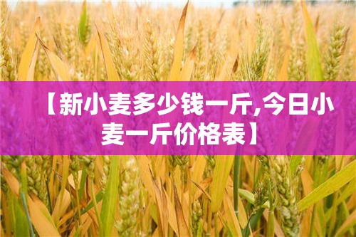 【新小麦多少钱一斤,今日小麦一斤价格表】 【新小麦多少钱一斤,今日小麦一斤价格表】