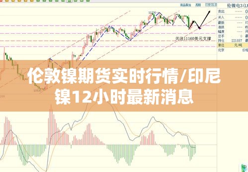 伦敦镍期货实时行情/印尼镍12小时最新消息 伦敦镍期货实时行情/印尼镍12小时最新消息