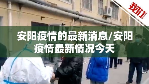 安阳疫情的最新消息/安阳疫情最新情况今天