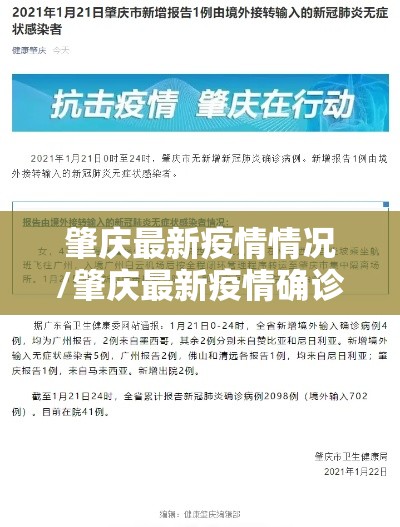 肇庆最新疫情情况/肇庆最新疫情确诊 肇庆最新疫情情况/肇庆最新疫情确诊