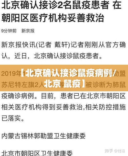 什么软件可以通过手机号2026年速贷平台汇总:手机号能下款的口子