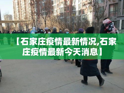 【石家庄疫情最新情况,石家庄疫情最新今天消息】 【石家庄疫情最新情况,石家庄疫情最新今天消息】