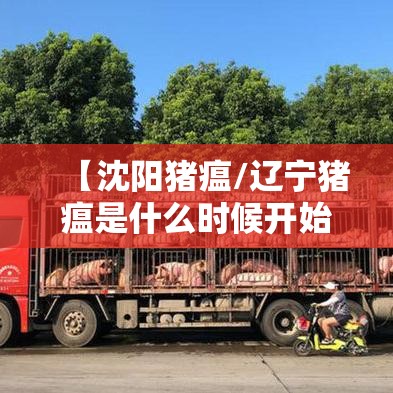 【沈阳猪瘟/辽宁猪瘟是什么时候开始的】 【沈阳猪瘟/辽宁猪瘟是什么时候开始的】