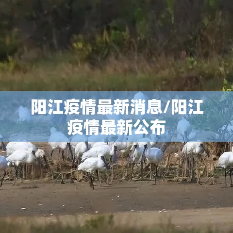 阳江疫情最新消息/阳江疫情最新公布 阳江疫情最新消息/阳江疫情最新公布