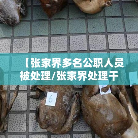 【张家界多名公职人员被处理/张家界处理干部】