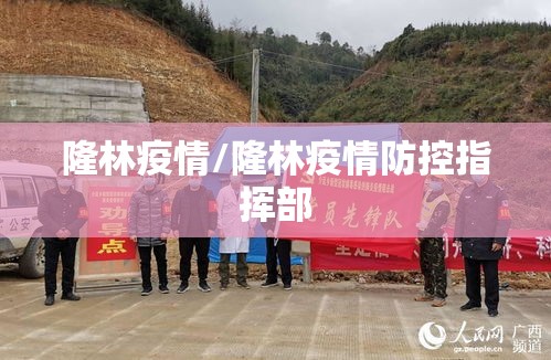 隆林疫情/隆林疫情防控指挥部
