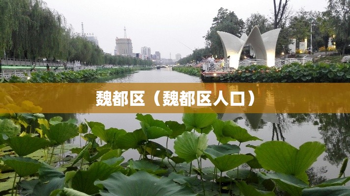 魏都区（魏都区人口）
