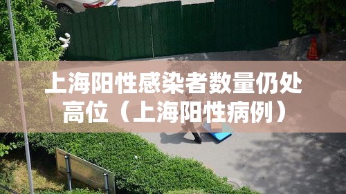 上海阳性感染者数量仍处高位(上海阳性病例) 上海阳性感染者数量仍处高位(上海阳性病例)