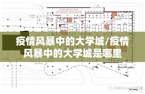 疫情风暴中的大学城/疫情风暴中的大学城是哪里