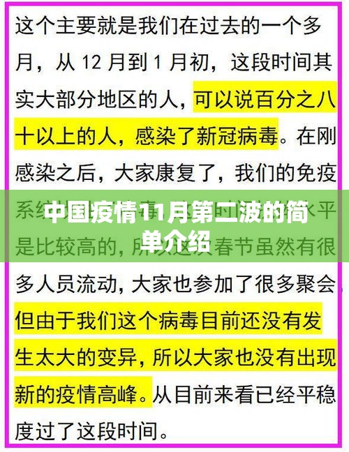 中国疫情11月第二波的简单介绍
