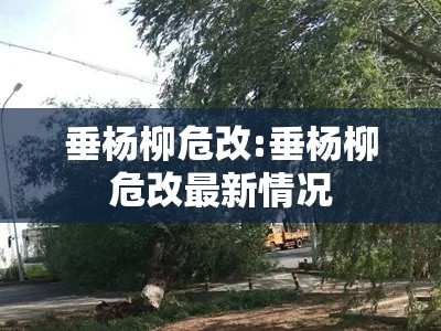 垂杨柳危改:垂杨柳危改最新情况