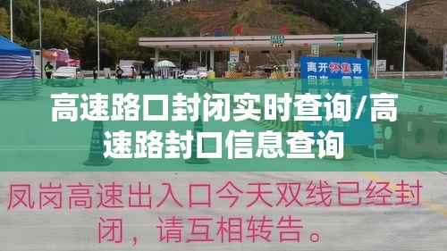 高速路口封闭实时查询/高速路封口信息查询