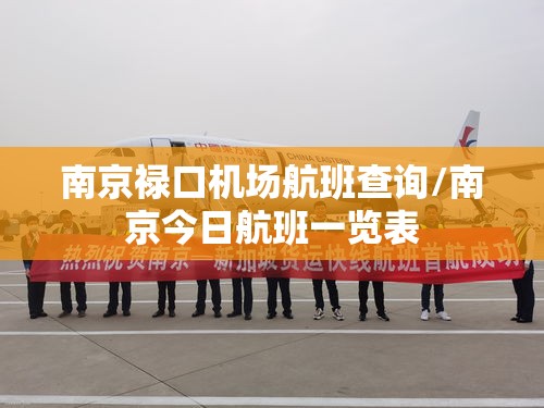 南京禄口机场航班查询/南京今日航班一览表 南京禄口机场航班查询/南京今日航班一览表