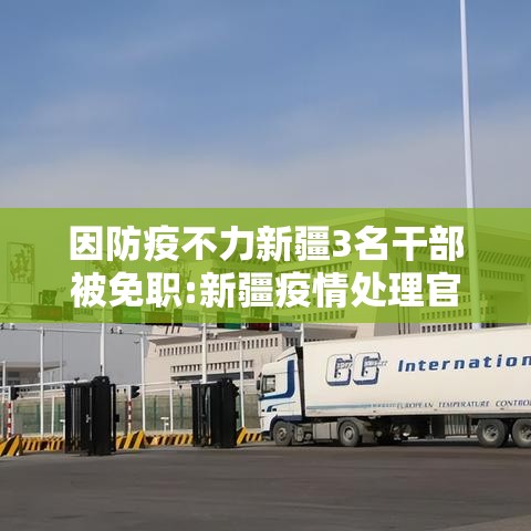 实测脚本“微乐福建麻将怎么打才会赢”(确实真的有挂)