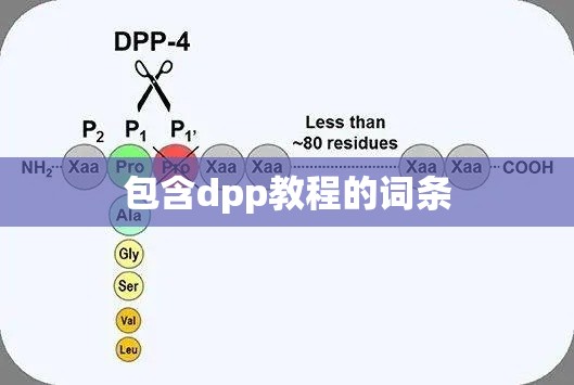 包含dpp教程的词条 包含dpp教程的词条