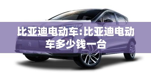比亚迪电动车:比亚迪电动车多少钱一台