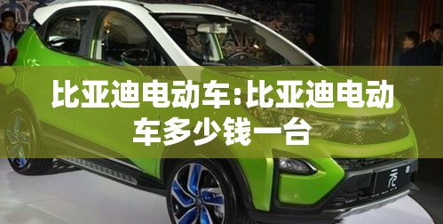 比亚迪电动车:比亚迪电动车多少钱一台