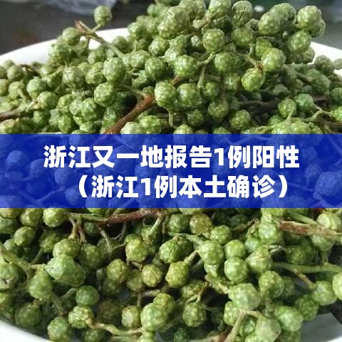 浙江又一地报告1例阳性(浙江1例本土确诊) 浙江又一地报告1例阳性(浙江1例本土确诊)