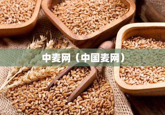 中麦网（中国麦网）
