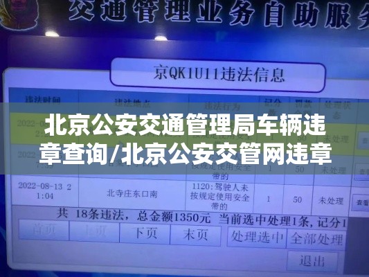 北京公安交通管理局车辆违章查询/北京公安交管网违章查询
