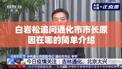 白岩松追问通化市市长原因在哪的简单介绍 白岩松追问通化市市长原因在哪的简单介绍