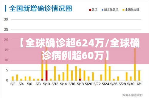 【全球确诊超624万/全球确诊病例超60万】 【全球确诊超624万/全球确诊病例超60万】