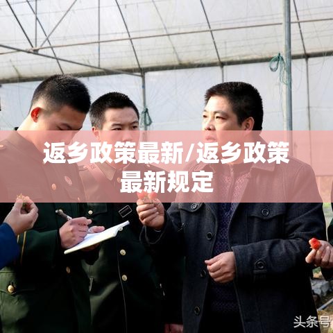 返乡政策最新/返乡政策最新规定