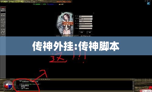 传神外挂:传神脚本