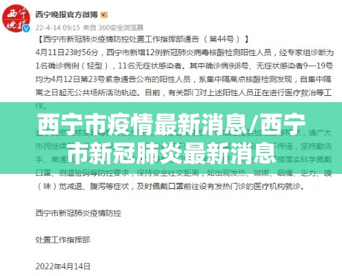 西宁市疫情最新消息/西宁市新冠肺炎最新消息 西宁市疫情最新消息/西宁市新冠肺炎最新消息
