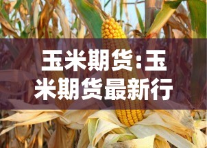 玩家攻略宝典“手机麻将软件开挂是真的吗”(确实真的有挂)