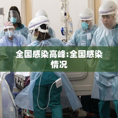 全国感染高峰:全国感染情况