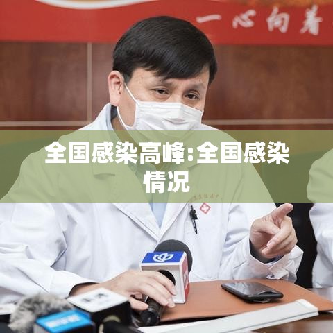 全国感染高峰:全国感染情况 全国感染高峰:全国感染情况