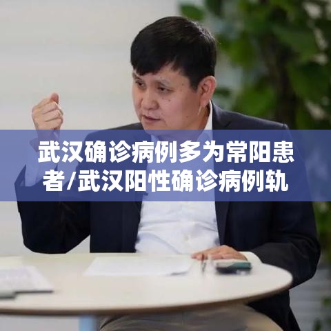 武汉确诊病例多为常阳患者/武汉阳性确诊病例轨迹