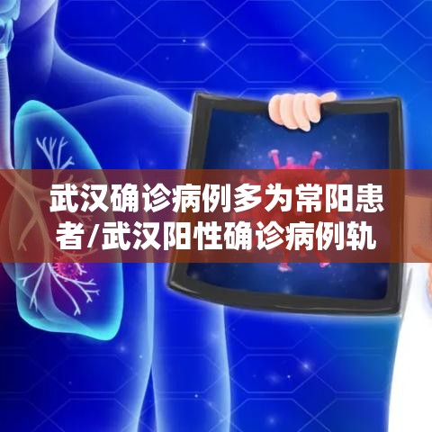 武汉确诊病例多为常阳患者/武汉阳性确诊病例轨迹