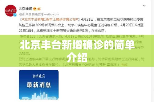 北京丰台新增确诊的简单介绍