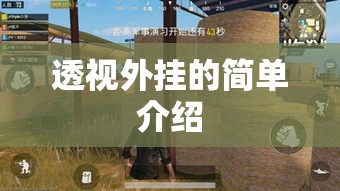 透视外挂的简单介绍