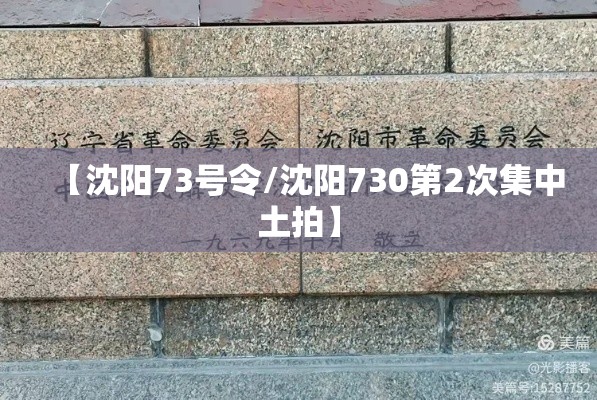【沈阳73号令/沈阳730第2次集中土拍】 【沈阳73号令/沈阳730第2次集中土拍】