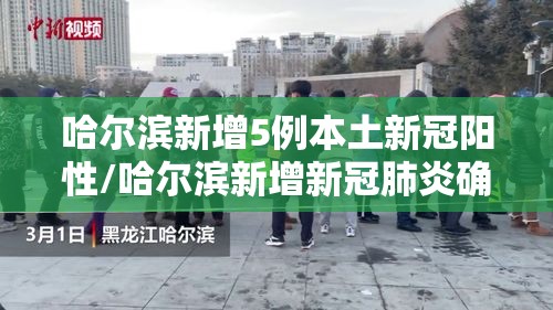 哈尔滨新增5例本土新冠阳性/哈尔滨新增新冠肺炎确诊病例9例