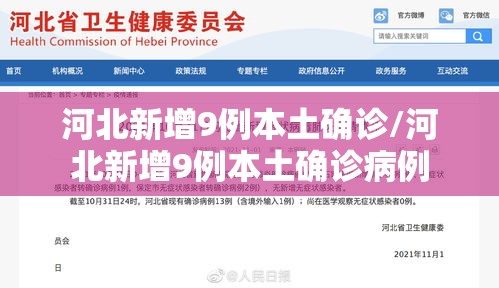河北新增9例本土确诊/河北新增9例本土确诊病例
