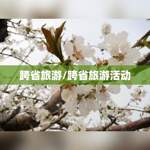 跨省旅游/跨省旅游活动 跨省旅游/跨省旅游活动